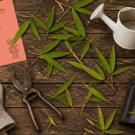 bambou comment entretenir plan de travail jardinage