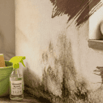 comment enlever l'humidité sur un mur avec éponge et vinaigre
