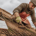 entretien toit de chaume artisan sur toiture