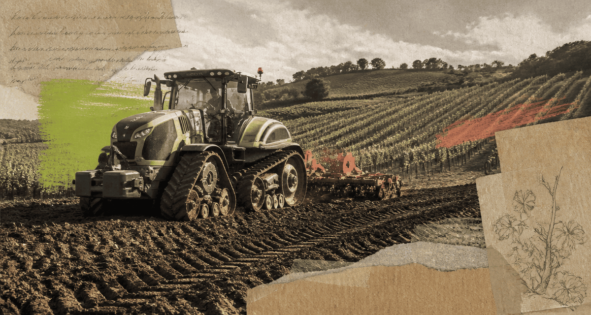 tracteur à chenille dans un champ en pente