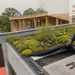 toit végétalisé inconvénient technicien membrane