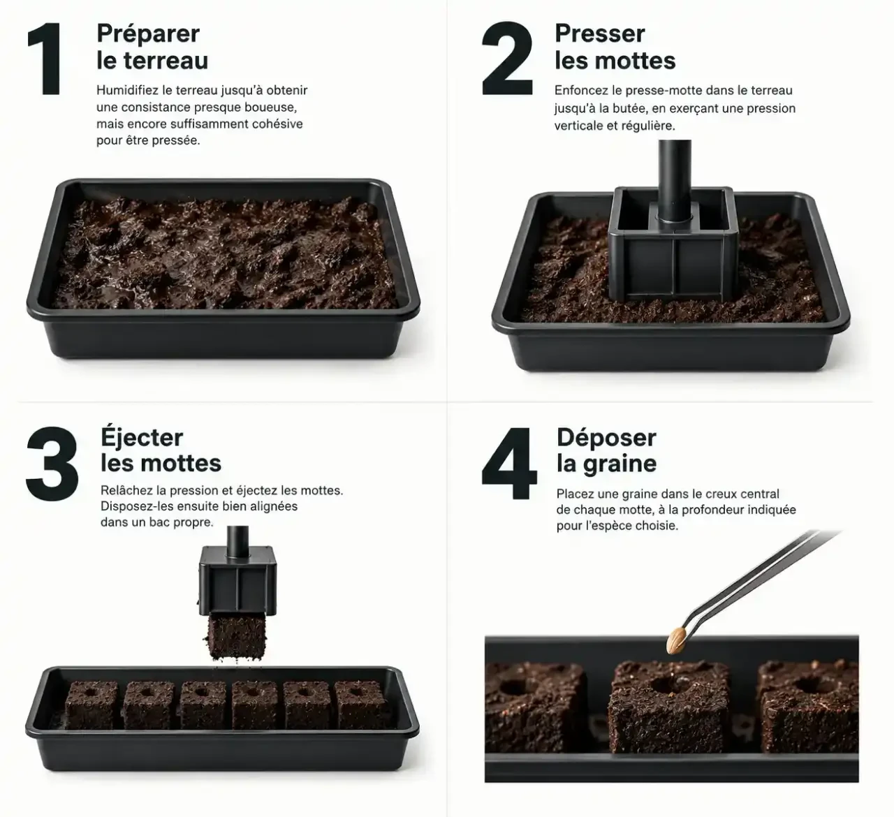 Semis au presse-motte étape par étape : humidifier le terreau, presser, éjecter et semer